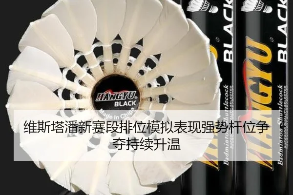 维斯塔潘新赛段排位模拟表现强势杆位争夺持续升温